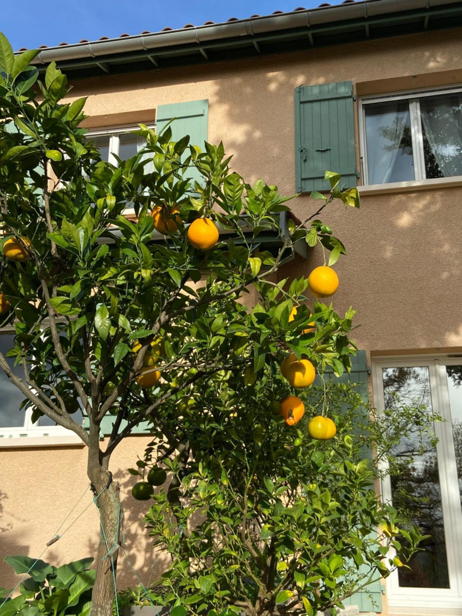 Le Relais Des Malettes Chambres D'Hotes B&B Francheville  ภายนอก รูปภาพ