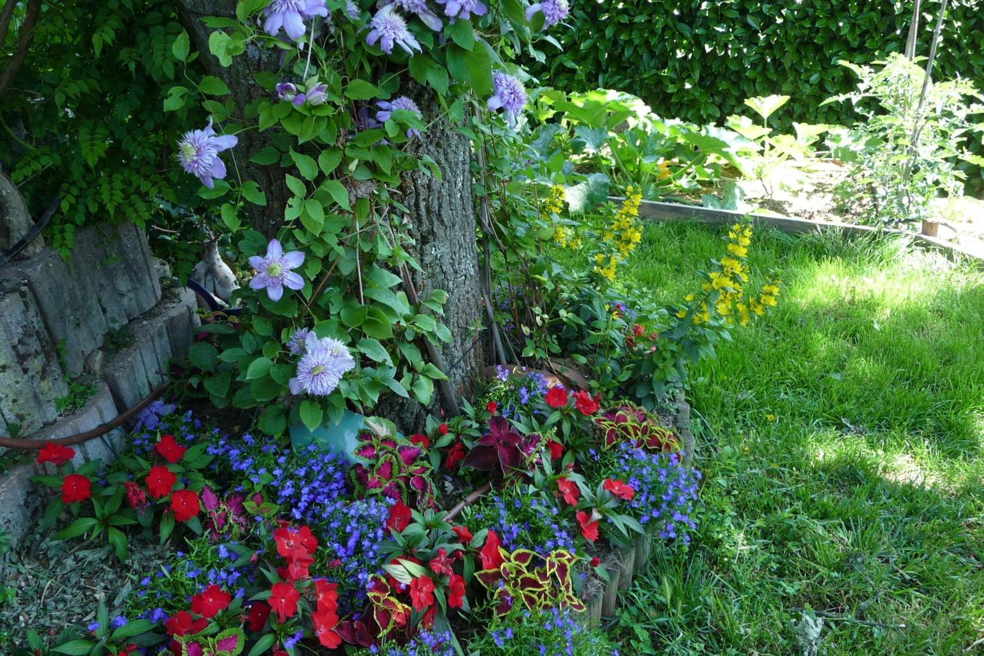 Le Relais Des Malettes Chambres D'Hotes B&B Francheville  ภายนอก รูปภาพ