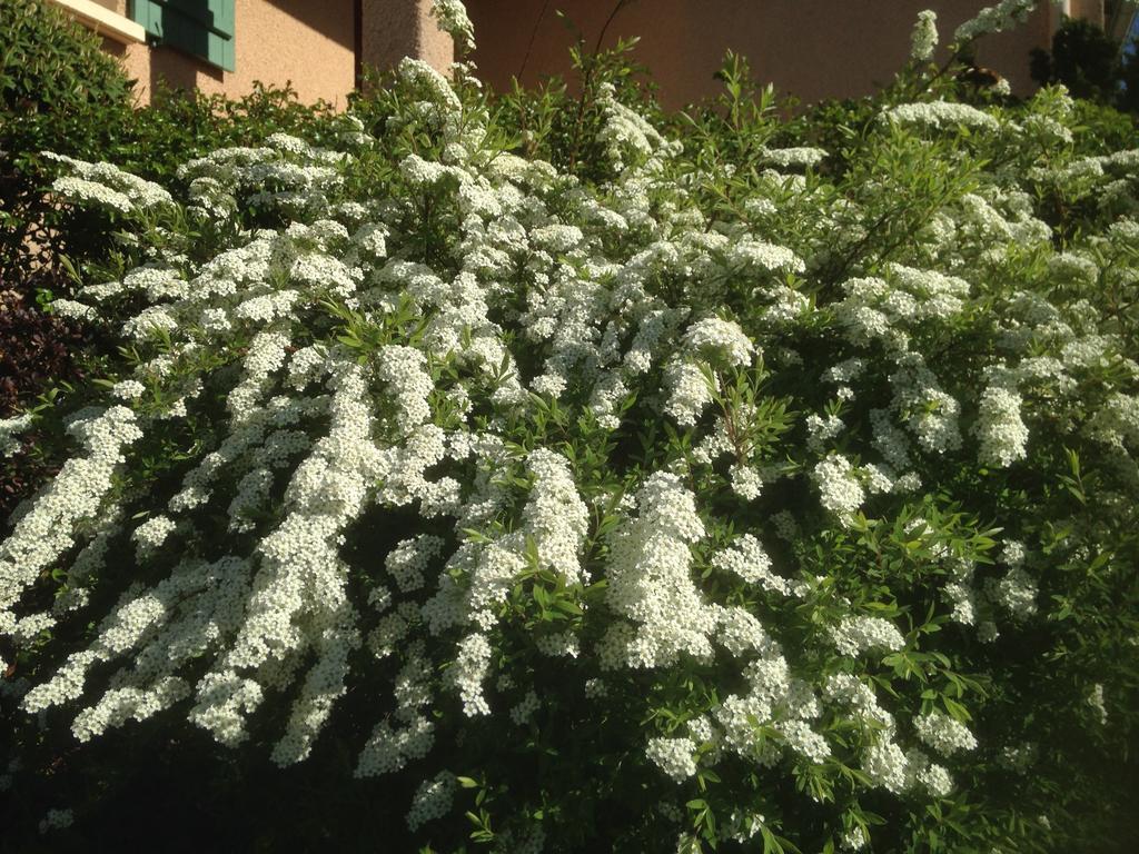 Le Relais Des Malettes Chambres D'Hotes B&B Francheville  ภายนอก รูปภาพ