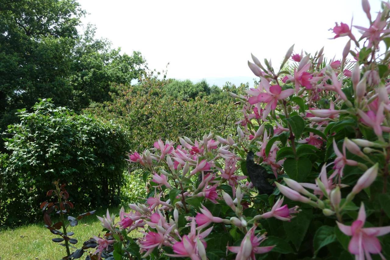 Le Relais Des Malettes Chambres D'Hotes B&B Francheville  ภายนอก รูปภาพ